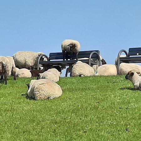 Njoerd Villa Norden Eksteriør bilde